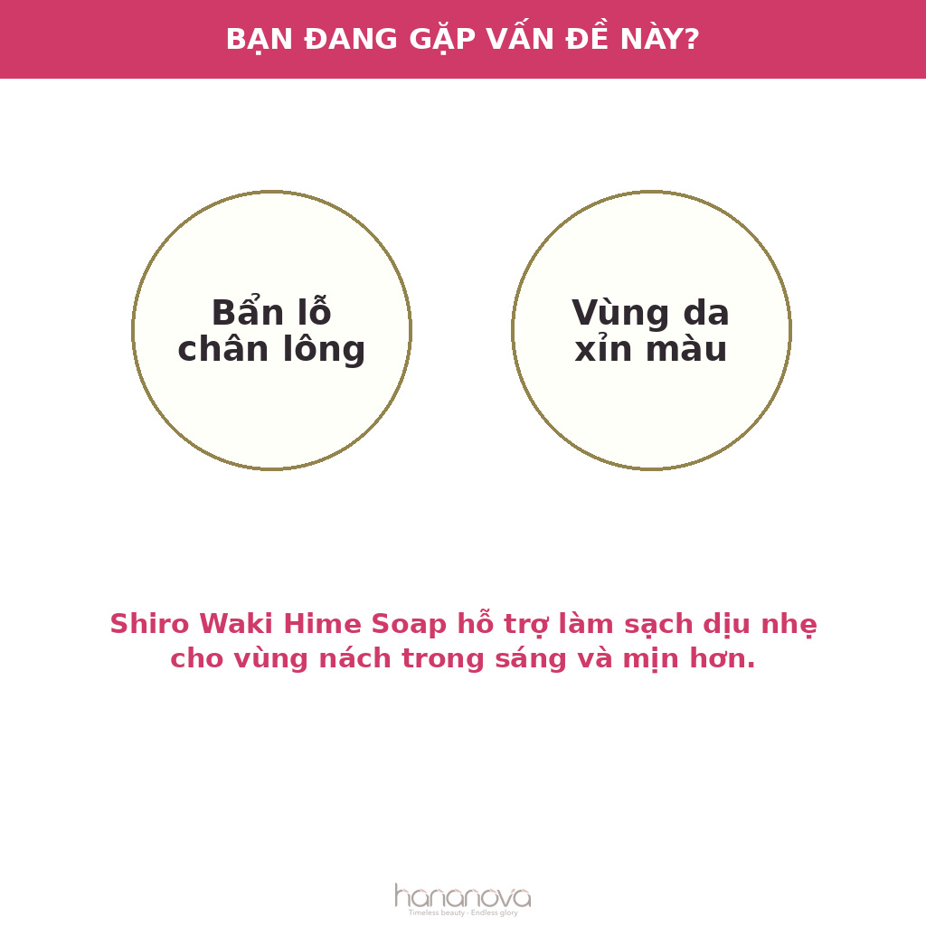 Shiro Waki Hime Soap - Large Vietnamese layout 05